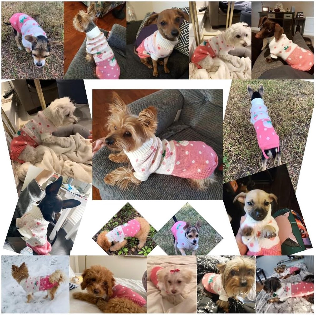 Dog Coat - Dog Sweater - Dog Pullover - Classic Turtleneck Knit Dog Sweater - Warm Winter Dog Clothes - Cute Strawberry Heart Pattern - Perfect for Small and Medium Dogs - Pink - Size S