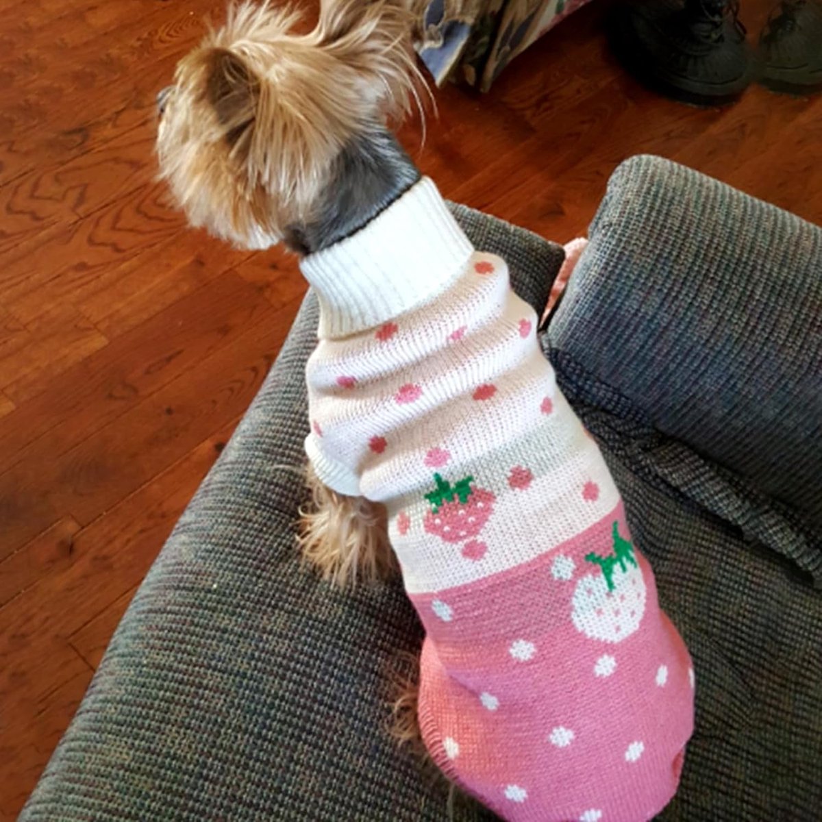 Dog Coat - Dog Sweater - Classic Turtleneck Knit Dog Sweater - Warm Winter Dog Clothes - Cute Strawberry Heart Pattern - Perfect for Small and Medium Dogs - Pink - Size XXL