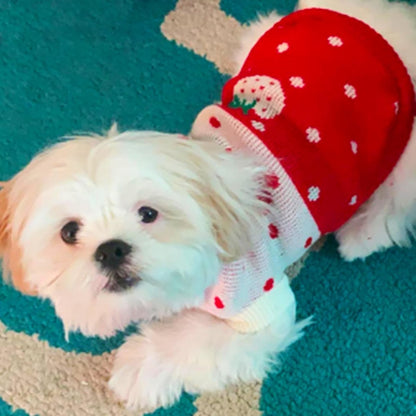 Dog Coat - Dog Sweater - Classic Turtleneck Knit Dog Sweater - Warm Winter Dog Clothes - Cute Strawberry Heart Pattern - Perfect for Small and Medium Dogs - Red - Size L