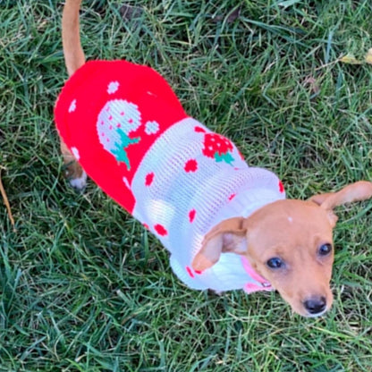 Dog Coat - Dog Sweater - Classic Turtleneck Knit Dog Sweater - Warm Winter Dog Clothes - Cute Strawberry Heart Pattern - Perfect for Small and Medium Dogs - Red - Size XL