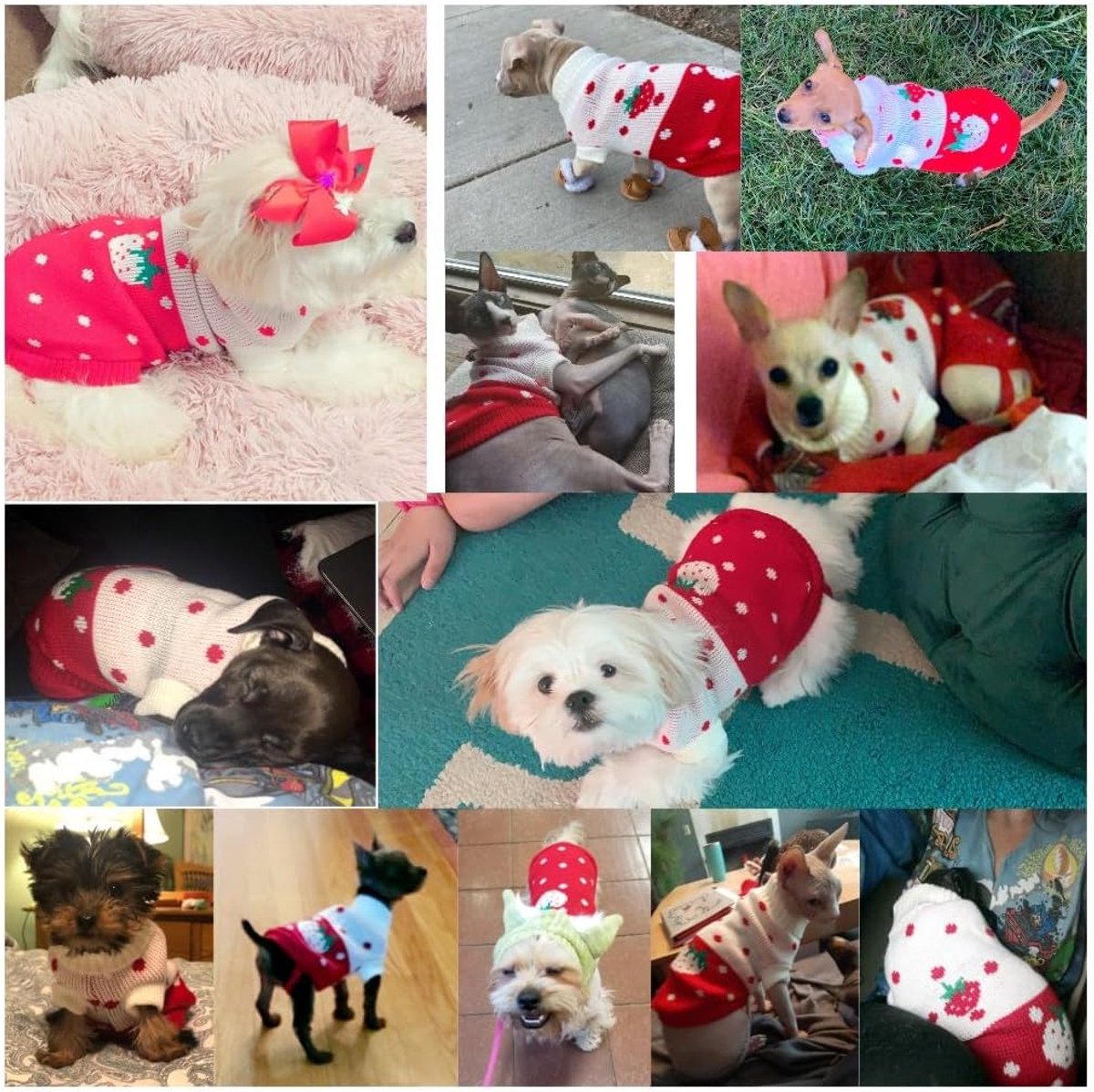 Dog Coat - Dog Sweater - Classic Turtleneck Knit Dog Sweater - Warm Winter Dog Clothes - Cute Strawberry Heart Pattern - Perfect for Small and Medium Dogs - Red - Size XL