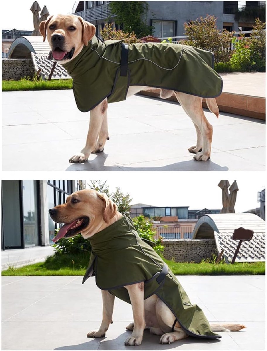 Dog Raincoat - Dog Jacket - Waterproof Winter Dog Coat - Windproof Dog Coat - Winter Dog Coat - Reflective Strip - Green - Size M - Perfect for Small and Medium Dogs