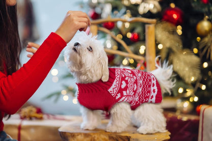Dog sweater - Christmas sweaters for dogs - Sleeveless dog sweaters - Dog coat - Warm sweater for puppies in autumn and winter - Ugly sweater - Perfect for small dogs - Dog - Medium - New Year's holidays