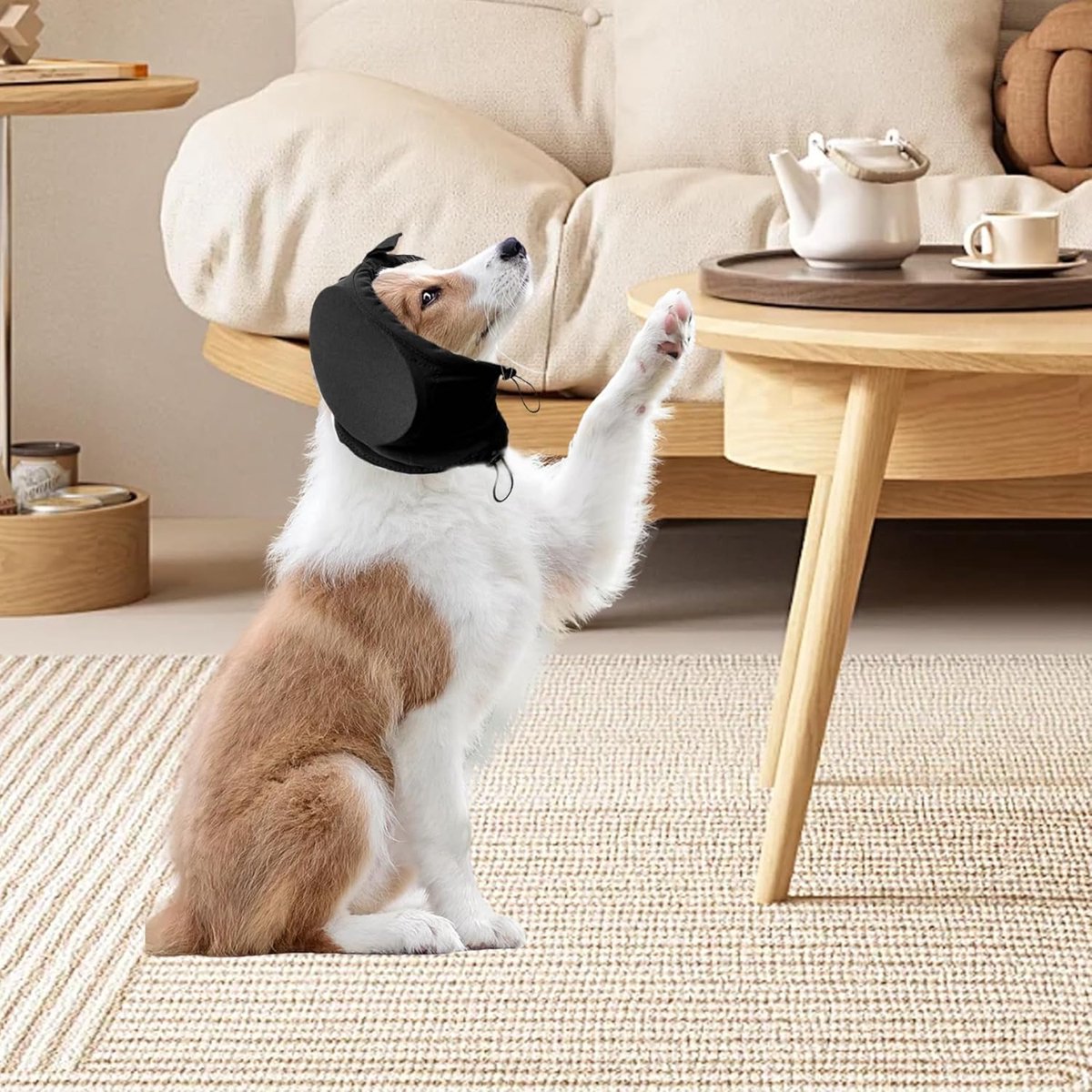 S - Noise-Reducing Ear Protectors for Dogs - Dog Ear Protector - Ear Protector for Dogs - Dog Ear Protector - Hearing Protection for Pets - Pet Cone - Noise-Dampening Dog Headband - Noise-Reducing Dog Ear Warmer - Blue