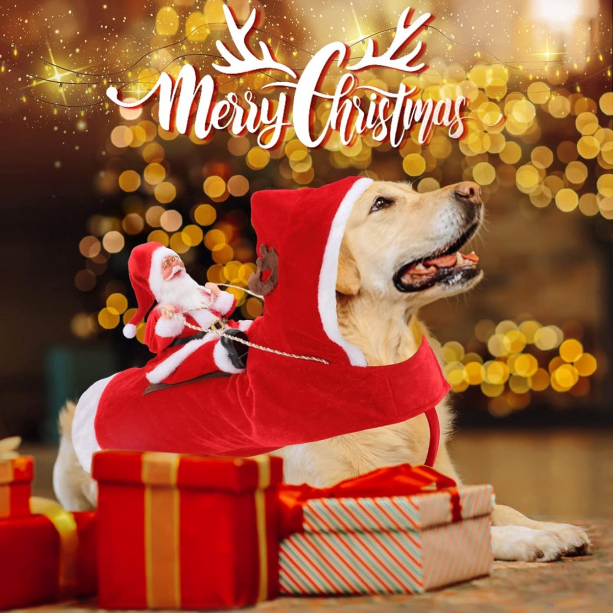 Dog Costume Christmas - Christmas Clothing For Dog/Cat - Christmas Outfit For Puppies - Hooded Dog Christmas Suit - Dog Christmas Clothing - Funny Dog Christmas Costume - Size XXL - Dog Fancy Dress Costumes - Dog Clothing - Pet Christmas Costume - Christm