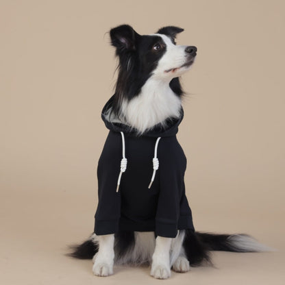 Black classic hooded dog sweatshirt