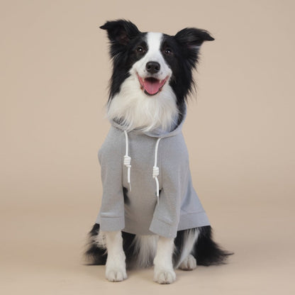 Grey classic dog sweatshirt with hood and drawstrings
