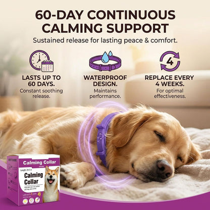 Colorful Pet Calming Collar 4 Pack (38cm) - Waterproof Silicone Cat Collar Custom Fit for All Breeds - Anxiety Relief & Stress Reduction
