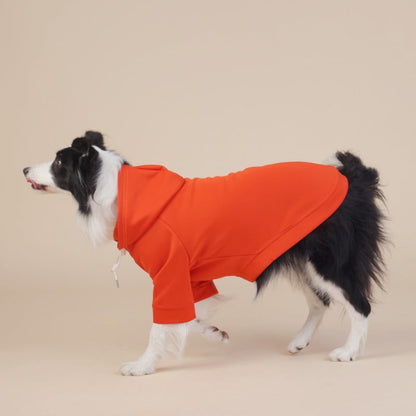 Orange classic hooded dog sweatshirt